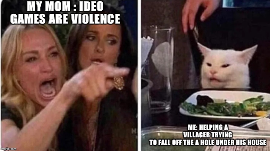 Confused Cat at Dinner | MY MOM : IDEO GAMES ARE VIOLENCE; ME: HELPING A VILLAGER TRYING TO FALL OFF THE A HOLE UNDER HIS HOUSE | image tagged in confused cat at dinner | made w/ Imgflip meme maker