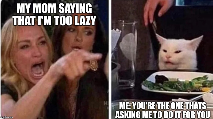 It always be like that | MY MOM SAYING THAT I'M TOO LAZY; ME: YOU'RE THE ONE THATS ASKING ME TO DO IT FOR YOU | image tagged in confused cat at dinner | made w/ Imgflip meme maker