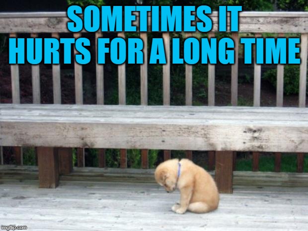 Sad Puppy | SOMETIMES IT HURTS FOR A LONG TIME | image tagged in sad puppy | made w/ Imgflip meme maker