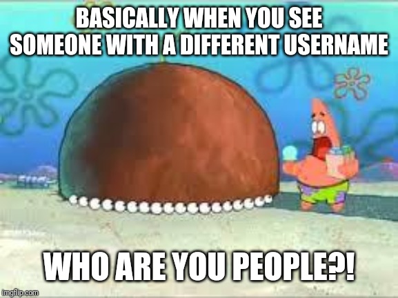 WHO ARE YOU PEOPLE? | BASICALLY WHEN YOU SEE SOMEONE WITH A DIFFERENT USERNAME; WHO ARE YOU PEOPLE?! | image tagged in who are you people,patrick star,imgflip,memes | made w/ Imgflip meme maker