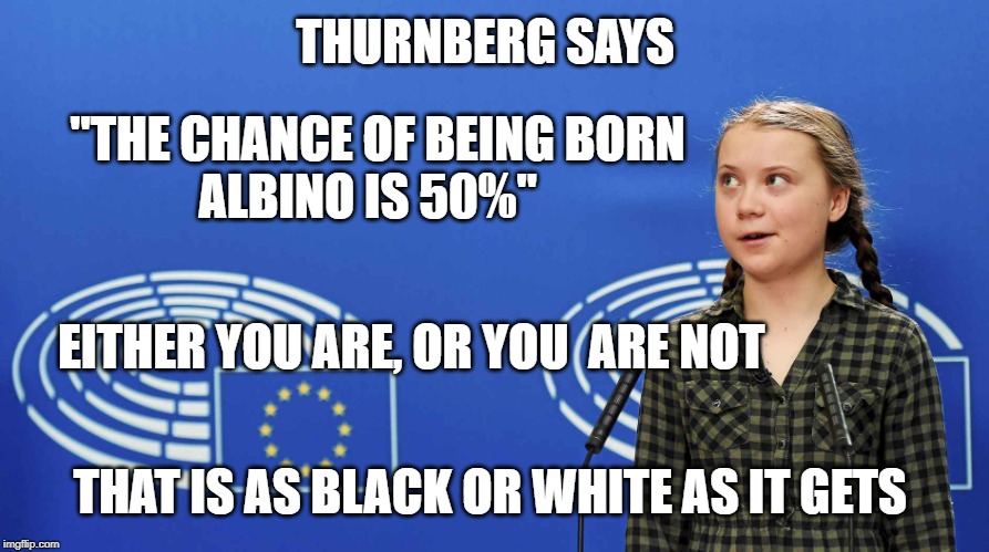 Black and white Thurnberg | THURNBERG SAYS; "THE CHANCE OF BEING BORN
ALBINO IS 50%"; EITHER YOU ARE, OR YOU  ARE NOT; THAT IS AS BLACK OR WHITE AS IT GETS | image tagged in black and white thurnberg | made w/ Imgflip meme maker