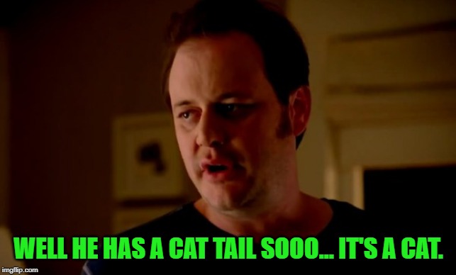 Jake from state farm | WELL HE HAS A CAT TAIL SOOO... IT'S A CAT. | image tagged in jake from state farm | made w/ Imgflip meme maker