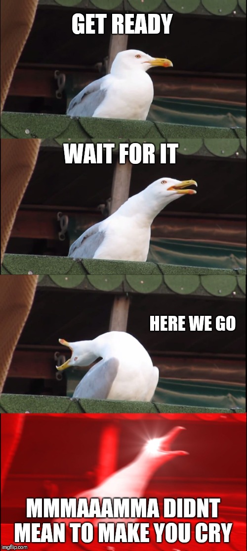 Inhaling Seagull Meme | GET READY; WAIT FOR IT; HERE WE GO; MMMAAAMMA DIDNT MEAN TO MAKE YOU CRY | image tagged in memes,inhaling seagull | made w/ Imgflip meme maker