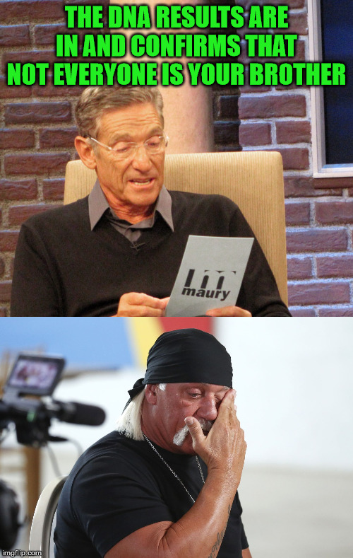 Hulk Hogan, you are not the brother. | THE DNA RESULTS ARE IN AND CONFIRMS THAT NOT EVERYONE IS YOUR BROTHER | image tagged in you are not the father,hulk hogan,maury povich | made w/ Imgflip meme maker