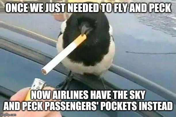 Old bird's story | ONCE WE JUST NEEDED TO FLY AND PECK; NOW AIRLINES HAVE THE SKY AND PECK PASSENGERS' POCKETS INSTEAD | image tagged in piebald crow smoking a cigarette | made w/ Imgflip meme maker