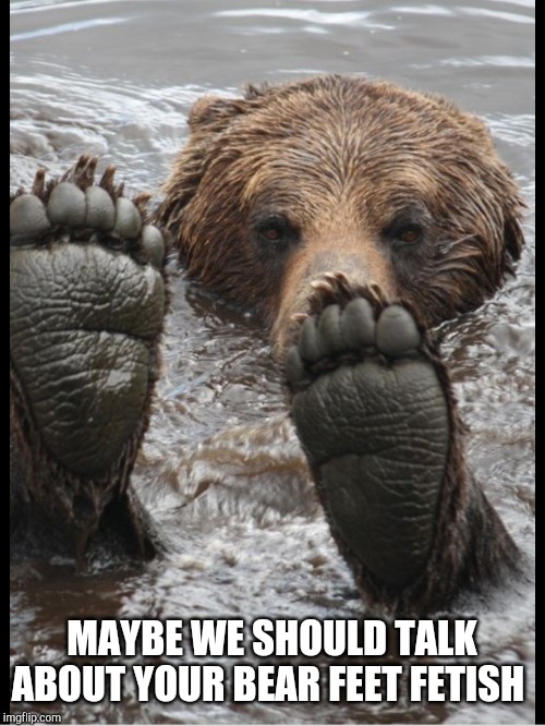 Bare, Bear Feet at the Minnesota Zoo Stock Photo - Image of