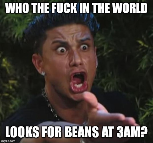 DJ Pauly D Meme | WHO THE F**K IN THE WORLD LOOKS FOR BEANS AT 3AM? | image tagged in memes,dj pauly d | made w/ Imgflip meme maker