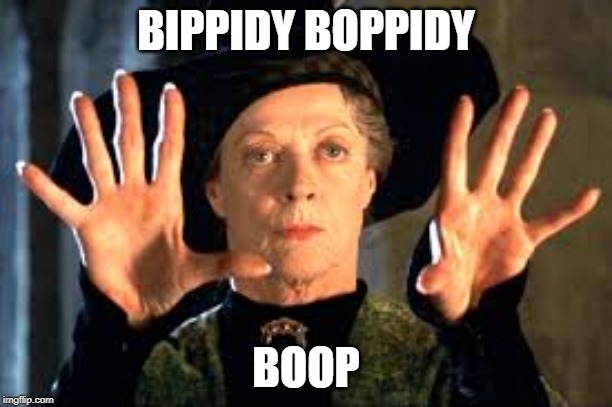 Harry Potter | BIPPIDY BOPPIDY; BOOP | image tagged in harry potter | made w/ Imgflip meme maker