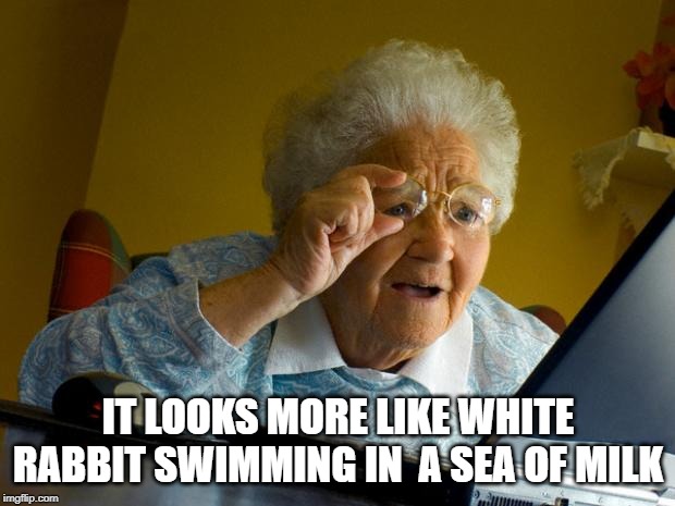 Old lady at computer finds the Internet | IT LOOKS MORE LIKE WHITE RABBIT SWIMMING IN  A SEA OF MILK | image tagged in old lady at computer finds the internet | made w/ Imgflip meme maker