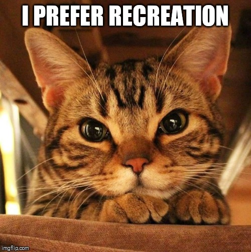 I PREFER RECREATION | made w/ Imgflip meme maker