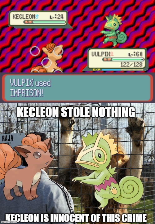 Imprison | KECLEON STOLE NOTHING; KECLEON IS INNOCENT OF THIS CRIME | image tagged in lion cage,pokemon | made w/ Imgflip meme maker