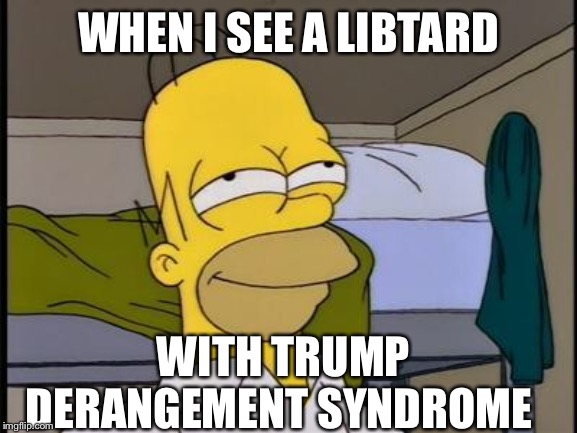 Homer satisfied | WHEN I SEE A LIBTARD WITH TRUMP DERANGEMENT SYNDROME | image tagged in homer satisfied | made w/ Imgflip meme maker