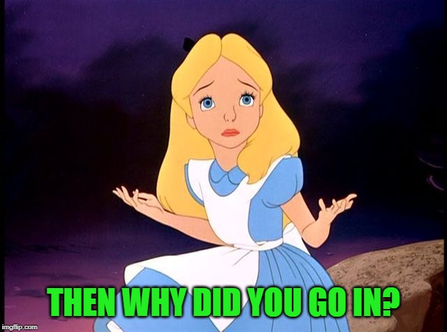 Alice in Wonderland | THEN WHY DID YOU GO IN? | image tagged in alice in wonderland | made w/ Imgflip meme maker