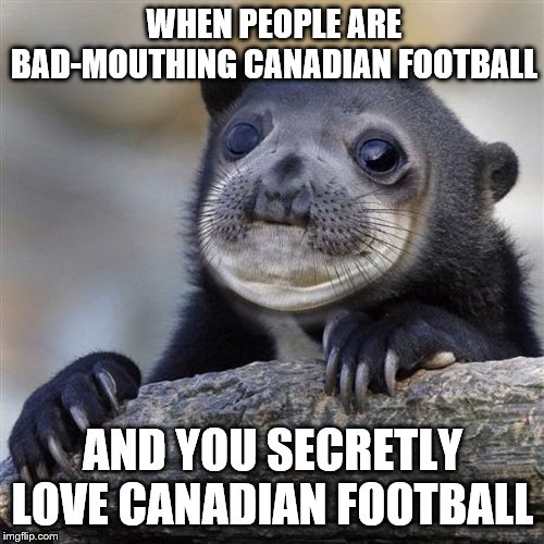 Awkward confession sealbear | WHEN PEOPLE ARE BAD-MOUTHING CANADIAN FOOTBALL; AND YOU SECRETLY LOVE CANADIAN FOOTBALL | image tagged in awkward confession sealbear,canadian football | made w/ Imgflip meme maker