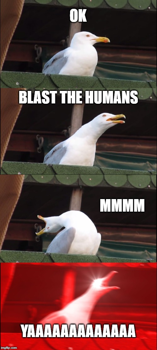 Inhaling Seagull Meme | OK; BLAST THE HUMANS; MMMM; YAAAAAAAAAAAAA | image tagged in memes,inhaling seagull | made w/ Imgflip meme maker