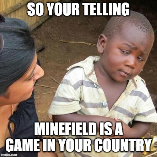 Third World Skeptical Kid Meme |  SO YOUR TELLING; MINEFIELD IS A GAME IN YOUR COUNTRY | image tagged in memes,third world skeptical kid | made w/ Imgflip meme maker