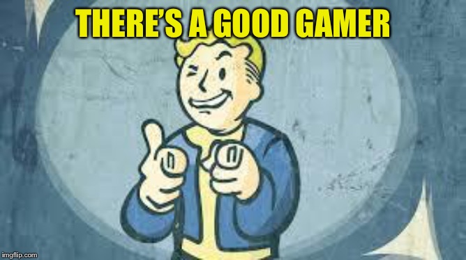 fallout | THERE’S A GOOD GAMER | image tagged in fallout | made w/ Imgflip meme maker