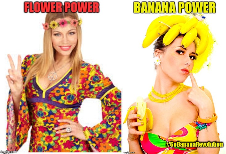 Vote for the Best! | #GoBananaRevolution | image tagged in flower power,banana power | made w/ Imgflip meme maker