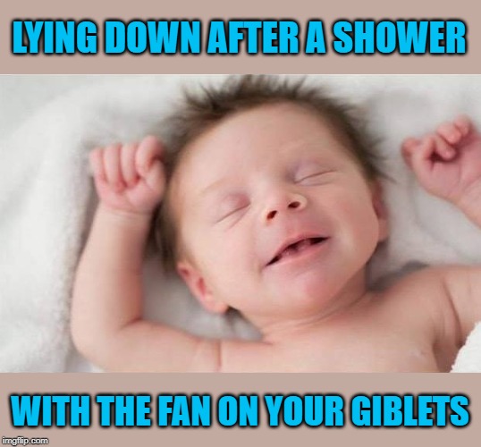 Oh what a wonderful feeling!!! | LYING DOWN AFTER A SHOWER; WITH THE FAN ON YOUR GIBLETS | image tagged in chillaxin,memes,content baby,funny,gettin' out of the shower,what a wonderful feeling | made w/ Imgflip meme maker