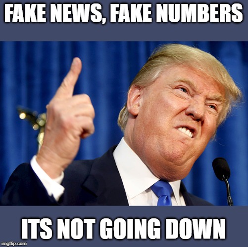 Donald Trump | FAKE NEWS, FAKE NUMBERS ITS NOT GOING DOWN | image tagged in donald trump | made w/ Imgflip meme maker