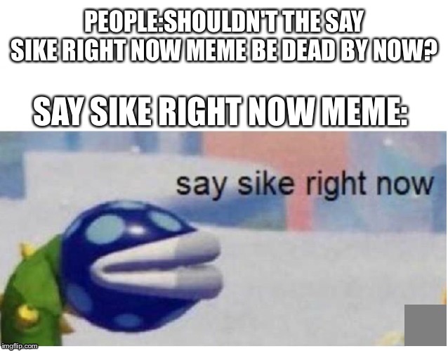 say sike right now | PEOPLE:SHOULDN'T THE SAY SIKE RIGHT NOW MEME BE DEAD BY NOW? SAY SIKE RIGHT NOW MEME: | image tagged in say sike right now | made w/ Imgflip meme maker