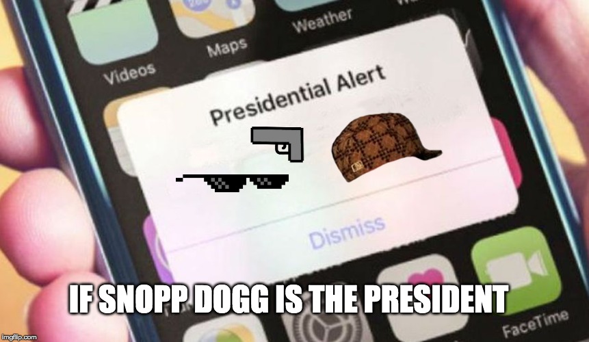 Presidential Alert Meme | IF SNOPP DOGG IS THE PRESIDENT | image tagged in memes,presidential alert | made w/ Imgflip meme maker