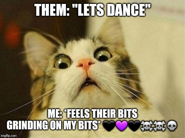 Scared Cat Meme | THEM: "LETS DANCE"; ME: *FEELS THEIR BITS GRINDING ON MY BITS* 🖤💜🖤☠☠💀 | image tagged in memes,scared cat | made w/ Imgflip meme maker