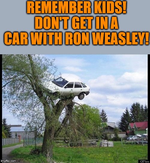 Secure Parking | REMEMBER KIDS! DON'T GET IN A CAR WITH RON WEASLEY! | image tagged in memes,secure parking | made w/ Imgflip meme maker