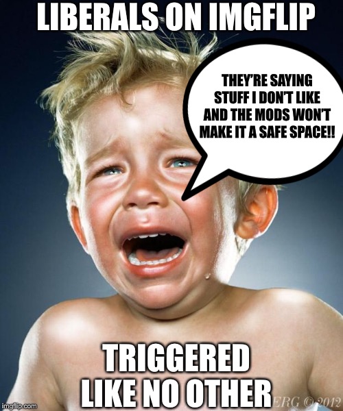 crying child | LIBERALS ON IMGFLIP; THEY’RE SAYING STUFF I DON’T LIKE AND THE MODS WON’T MAKE IT A SAFE SPACE!! TRIGGERED LIKE NO OTHER | image tagged in crying child,libtards,liberals,imgflip users,imgflip | made w/ Imgflip meme maker