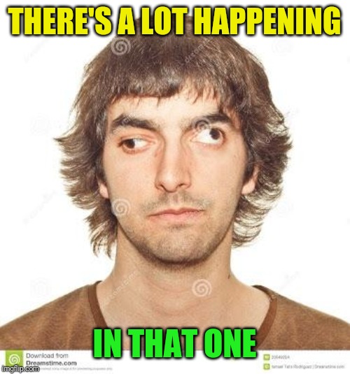 Cross eyed | THERE'S A LOT HAPPENING IN THAT ONE | image tagged in cross eyed | made w/ Imgflip meme maker