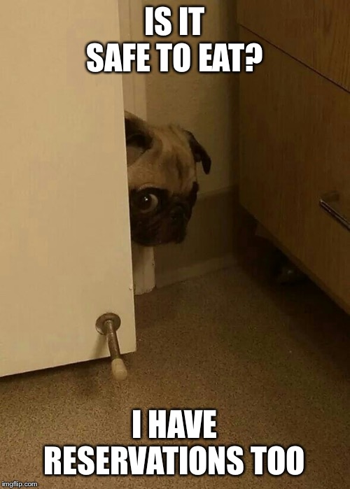 Cautious pug | IS IT SAFE TO EAT? I HAVE RESERVATIONS TOO | image tagged in cautious pug | made w/ Imgflip meme maker