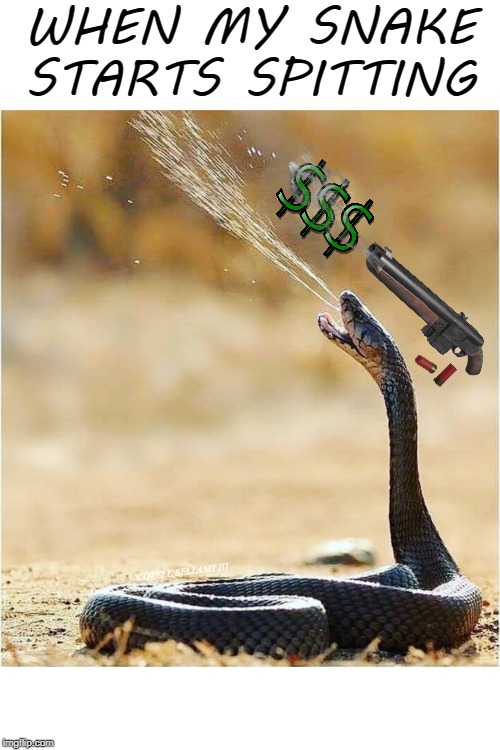 WHEN MY SNAKE STARTS SPITTING; COVELL BELLAMY III | image tagged in when my snake spits | made w/ Imgflip meme maker