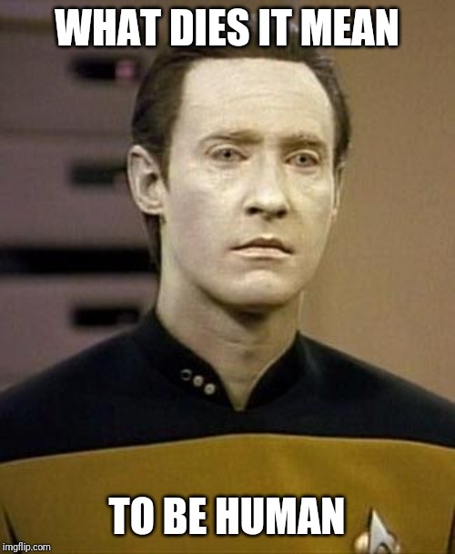 Data | WHAT DIES IT MEAN; TO BE HUMAN | image tagged in data | made w/ Imgflip meme maker