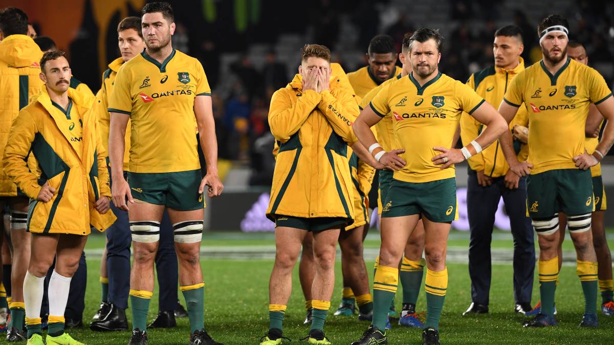 High Quality Wallabies lose Blank Meme Template