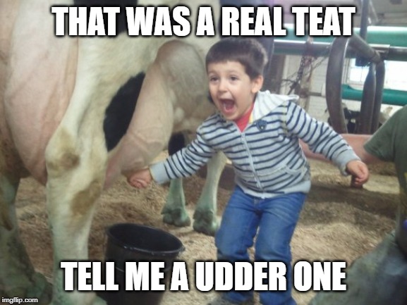 THAT WAS A REAL TEAT TELL ME A UDDER ONE | made w/ Imgflip meme maker