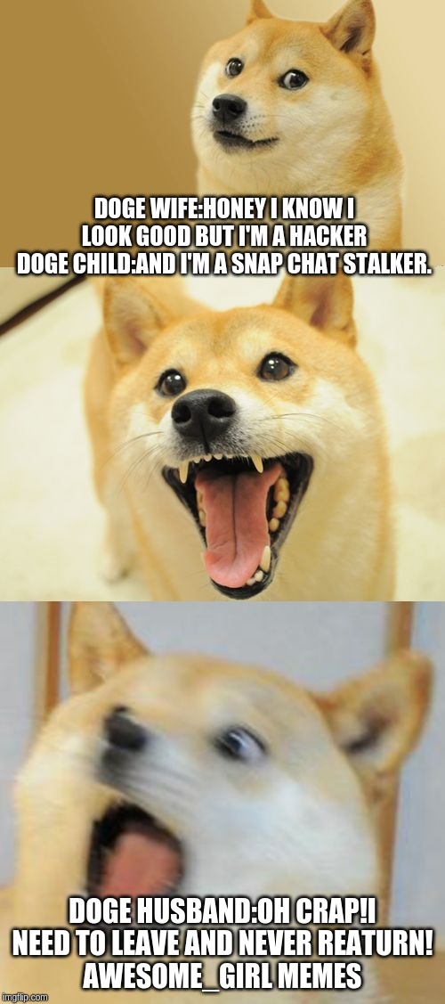 Bad Pun Doge | DOGE WIFE:HONEY I KNOW I LOOK GOOD BUT I'M A HACKER
DOGE CHILD:AND I'M A SNAP CHAT STALKER. DOGE HUSBAND:OH CRAP!I NEED TO LEAVE AND NEVER REATURN!
AWESOME_GIRL MEMES | image tagged in bad pun doge | made w/ Imgflip meme maker