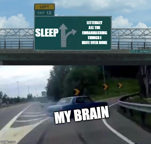 Left Exit 12 Off Ramp | SLEEP; LITTERALY ALL THE EMBARRASSING THINGS I HAVE EVER DONE; MY BRAIN | image tagged in memes,left exit 12 off ramp | made w/ Imgflip meme maker