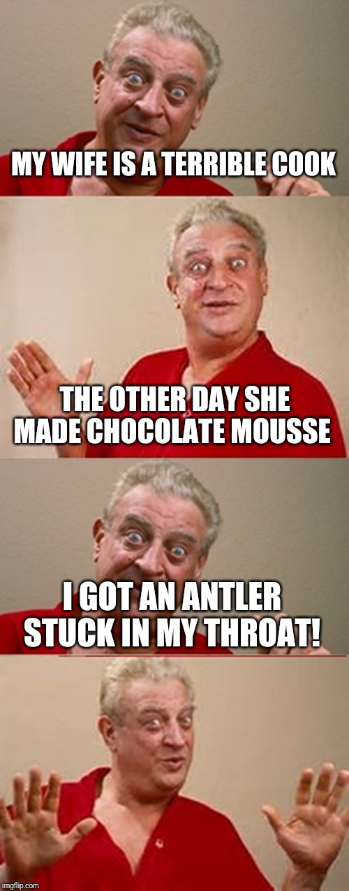 Rodney | MY WIFE IS A TERRIBLE COOK; THE OTHER DAY SHE MADE CHOCOLATE MOUSSE; I GOT AN ANTLER STUCK IN MY THROAT! | image tagged in rodney | made w/ Imgflip meme maker