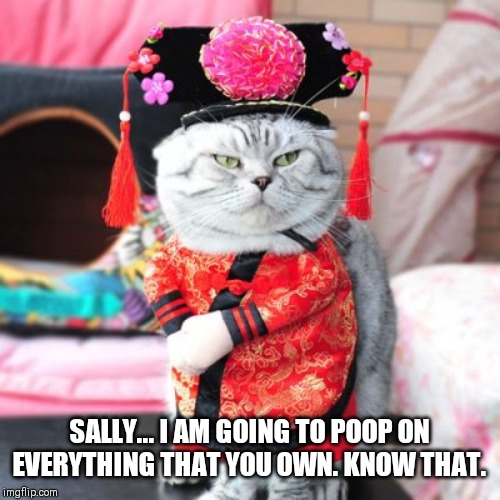OMG | SALLY... I AM GOING TO POOP ON EVERYTHING THAT YOU OWN. KNOW THAT. | image tagged in cats,poop,crazy | made w/ Imgflip meme maker