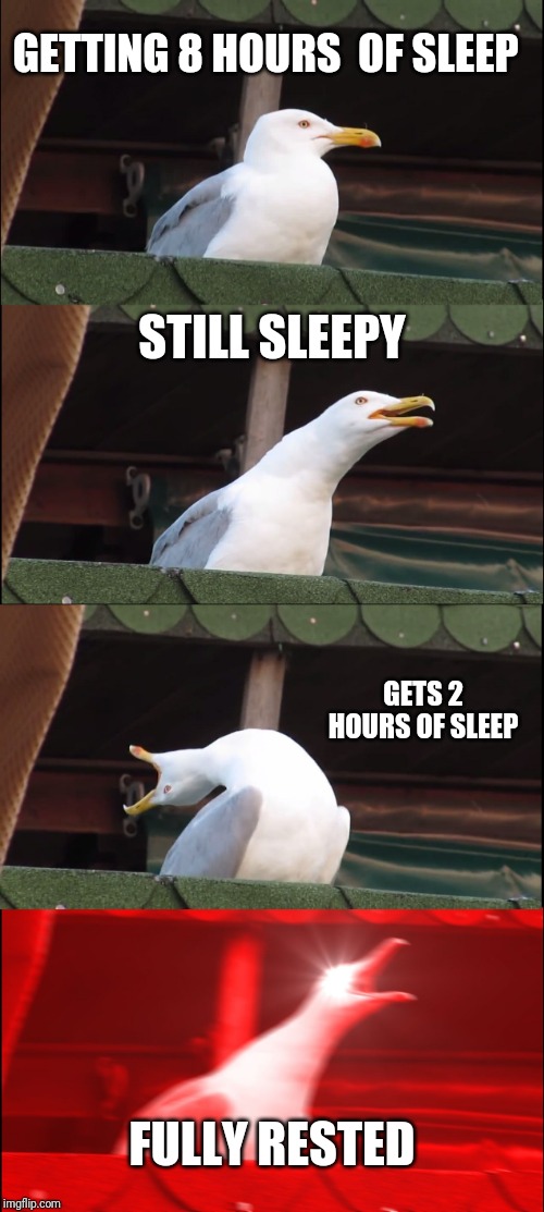 Inhaling Seagull Meme | GETTING 8 HOURS  OF SLEEP; STILL SLEEPY; GETS 2 HOURS OF SLEEP; FULLY RESTED | image tagged in memes,inhaling seagull | made w/ Imgflip meme maker