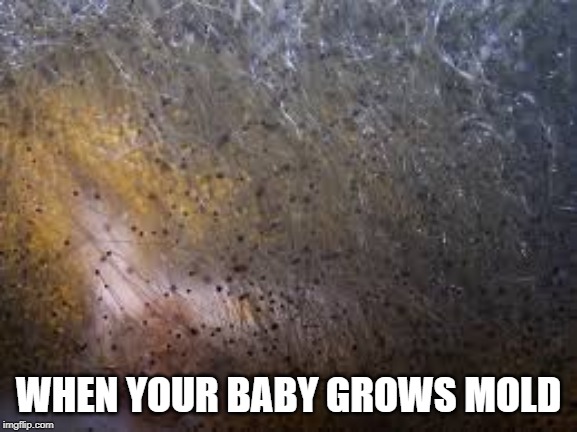 WHEN YOUR BABY GROWS MOLD | made w/ Imgflip meme maker