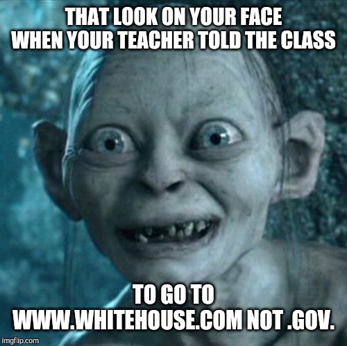 Gollum | THAT LOOK ON YOUR FACE WHEN YOUR TEACHER TOLD THE CLASS; TO GO TO WWW.WHITEHOUSE.COM NOT .GOV. | image tagged in memes,gollum | made w/ Imgflip meme maker