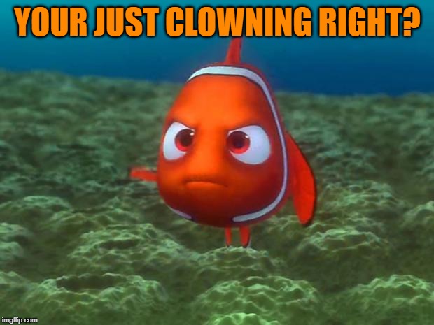 Nemo | YOUR JUST CLOWNING RIGHT? | image tagged in nemo | made w/ Imgflip meme maker