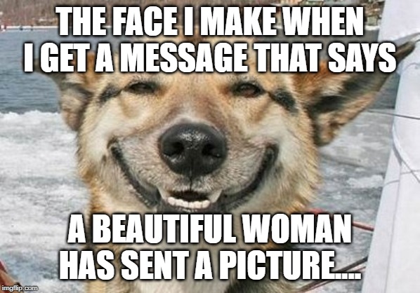 That face | THE FACE I MAKE WHEN I GET A MESSAGE THAT SAYS; A BEAUTIFUL WOMAN HAS SENT A PICTURE.... | image tagged in happy face | made w/ Imgflip meme maker