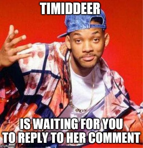 Will Smith Fresh Prince | TIMIDDEER IS WAITING FOR YOU TO REPLY TO HER COMMENT | image tagged in will smith fresh prince | made w/ Imgflip meme maker