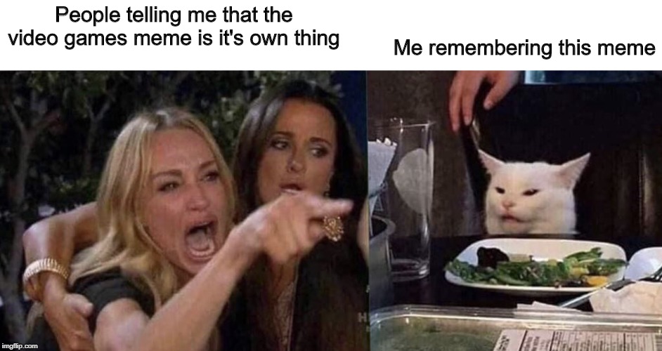 woman yelling at cat | Me remembering this meme; People telling me that the video games meme is it's own thing | image tagged in woman yelling at cat | made w/ Imgflip meme maker