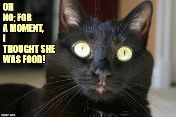 OH NO; FOR A MOMENT, I THOUGHT SHE WAS FOOD! | made w/ Imgflip meme maker