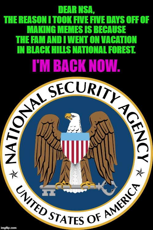 NSA Puns | DEAR NSA,
THE REASON I TOOK FIVE FIVE DAYS OFF OF MAKING MEMES IS BECAUSE THE FAM AND I WENT ON VACATION IN BLACK HILLS NATIONAL FOREST. I'M BACK NOW. | image tagged in nsa puns | made w/ Imgflip meme maker
