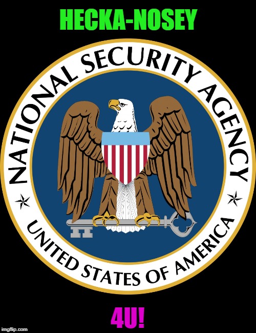 NSA Puns | HECKA-NOSEY; 4U! | image tagged in nsa puns | made w/ Imgflip meme maker