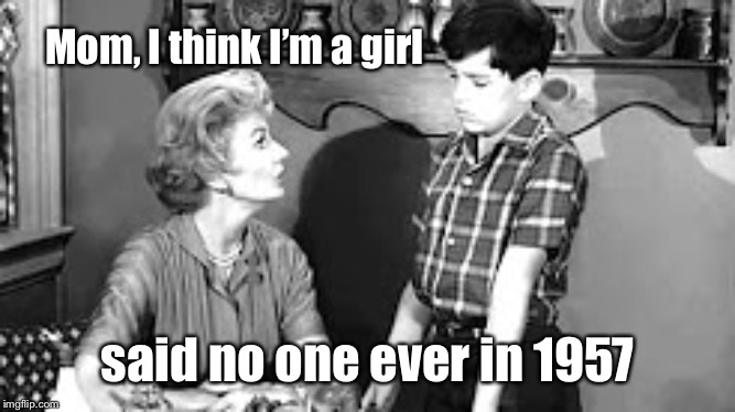Mom, I think I’m a girl; said no one ever in 1957 | image tagged in leave it to beaver,transsexual | made w/ Imgflip meme maker